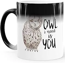 MoonWorks® Magic Mug Colour Changing Mug Owl I Need Is You Saying Love Boyfriend Girlfriend Gift Jarheday Valentine's Day White Magic Mug