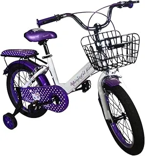 New Beauty Girl Bicycle for 8 Years Kids, 20-Inch Size, Multicolor