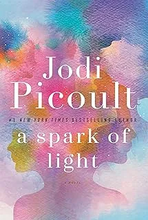 A Spark of Light: A Novel