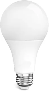 Lazio 12 Watt LED Bulb Brighten Your Space Efficiently White Light