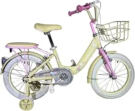 Beauty Girl Road Bike for 8 Years Kids, 20-Inch Size, Multicolor