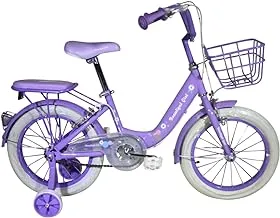 Beauty Girl Road Bike for 8 Years Kids, 20-Inch Size, Multicolor