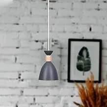 El Rawda RL-SC-006 Modern and Elegant High Quality Ceiling Lamp for Living Room or Bedroom - Grey