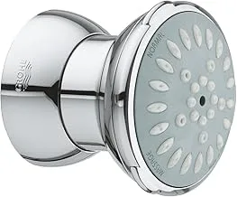 Grohe 27067000 2 Speed Relexa Shower Sprays, Silver