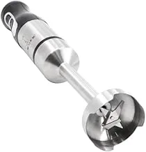 RAF Hand Blender - 800W - R.278