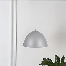 El Rawda RL-GG-008 Modern and Elegant High Quality Ceiling Lamp for Living Room or Bedroom - Grey