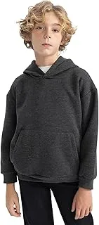 DeFacto boys Regular Fit Hooded Printed Basic Knit Sweatshirt