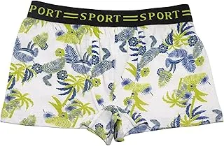 Papillon Boys Cotton Boxer Short Printed Shapes Boxer Shorts