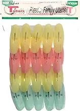 Plastic Clothes Peg Set - 12 Pieces, Blue and Green