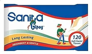 Sanita Gipsy 120 sheet Soft Facial Tissues 1 Piece