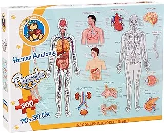 Fluffy Bear SC-1035 Human Anatomy Puzzle - Multi Color