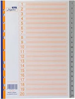 Digital A4 PVC Grey Index Dividers 20 Tabs - Printed