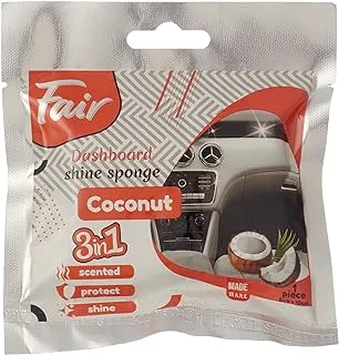 Fair polishing sponge - coconut - for car