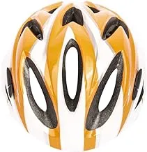 Cycling Molded Sports Helmet for all bike