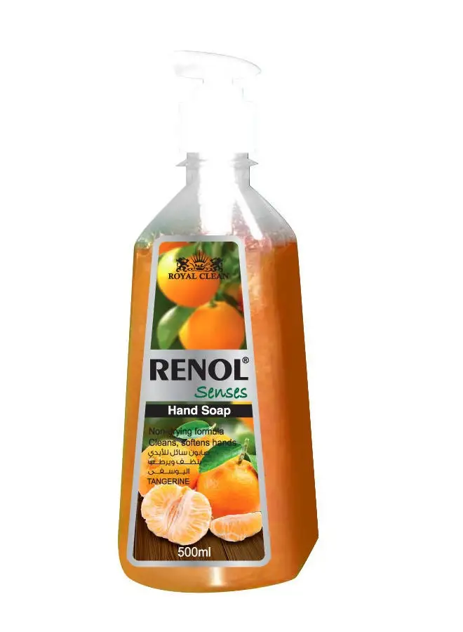 Renol Orange Senses Tangerine Hand Wash 500ml