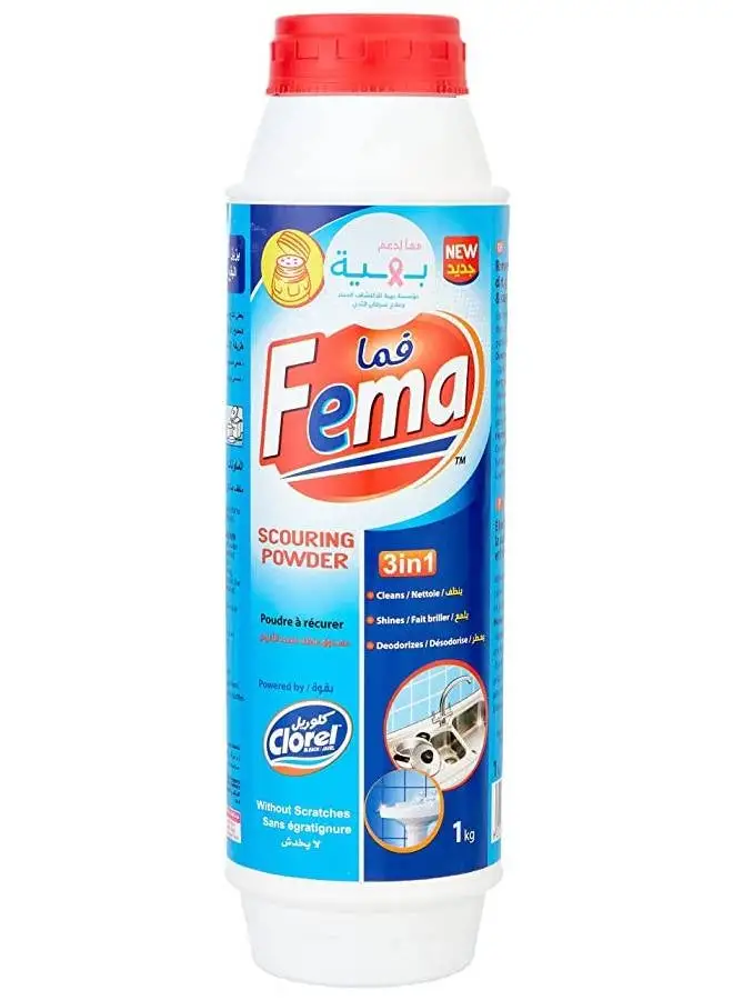 Fema Powder Multi Purpose Cleaner 1kg