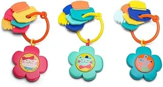 Suavinex Rubber LightWeight Musical Teether, 0 Months
