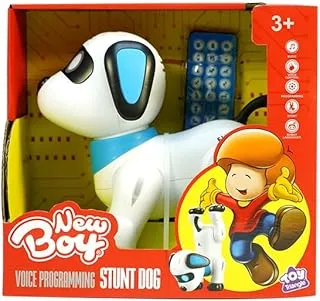 New Boy Voice Programming Stunt Dog