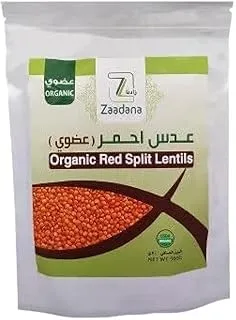 زادنا عدس أحمر عضوي ، 500 جم