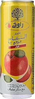 راوخ عصير تفاح ، 355 مل - عبوة من 1