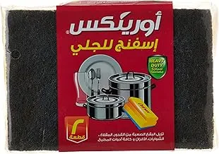 ORINEX EZCLEAN SPONG 2 PCS