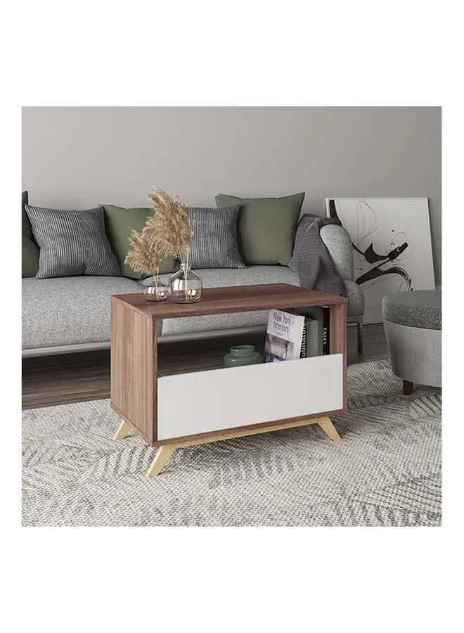 BRV Moveis Unique Design Rectangular Shape Coffee Table With Storage Shelf White/Brown 675x480x445mm