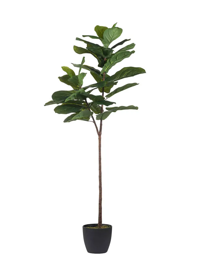 ebb & flow Fiddle Leaf Fig Tree Green  Unique Luxury Quality Material for the Perfect Stylish Home Green 65 X 40 X 150cm