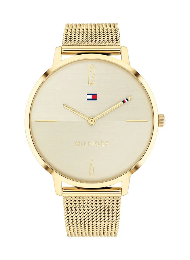 TOMMY HILFIGER Women's Stainless Steel Analog Watch-1782339