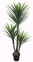 Beauty land gardens Yucca cactus 3 branches length 150cm, green, L, PL078