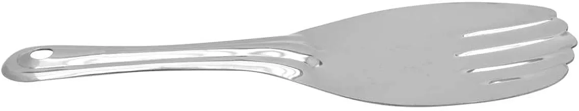 Raj 9.5 cm Rice Panja Deluxe Spoon-RSPD04,Silver