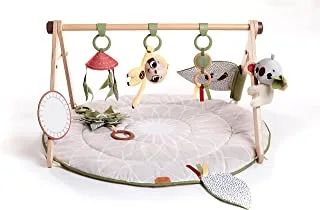 TINY LOVE - DEVELOPMENTAL GYMINI | 0 Months+ | Baby Activity Mat Wooden Toy Arch, Cot Mobile with Melodies | Boho Chic Luxe