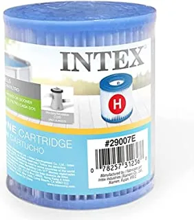 Intex Type H Filter Cartridge for Pump 330 GPH 29007