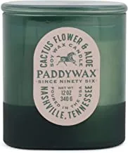 Paddywax Candles VS1005 Vista Collection Scented Candle, 12-Ounce, Cactus Flower & Aloe, 12 Ounces