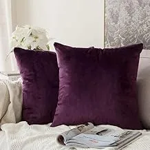 In House Wine Velvet Decorative Solid Filled Cushion, 65 * 65 centimeter