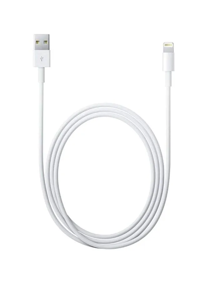 Apple Lightning To USB Cable 1 M White