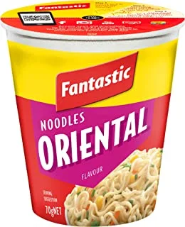 Fantastic Cup Noodles Oriental, 70 g