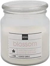 Hema White Blossom Scented Candle Jar 8x6.5cm