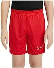 Nike Boy's Dri Fit Academy Shorts