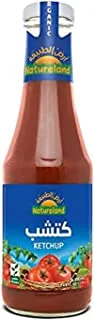 Natureland Tomato Ketchup, 500g - Pack of 1