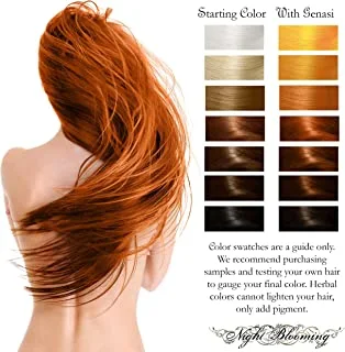 Veola Herbal Henna Hair Color for Men 60 g, Brown