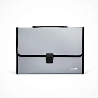 Maxi 13 Grids Document Case with Handle, Grey