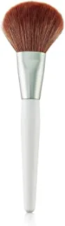 The face shop fmgt multipowder brush