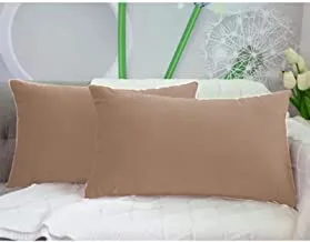 In House 2-Piece Velvet Rectangular Decorative Seat Cushion 30x50cm - Heart Wood