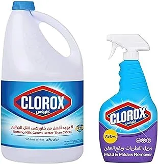 Clorox Bleach and Mold remover spray Bundle (3.78L and 750ml) - Kills 99.9% Germs and Viruses