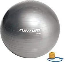 Tunturi Gymball 90cm, Silver