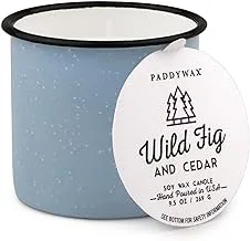 Paddywax Alpine Collection Scented Soy Wax Candle, 9.5-Ounce, Wild Fig and Cedar