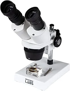 Celestron – Stereo Microscope – Celestron Labs S1030N – Ergonomic Binocular Head – 10x and 30x Magnification
