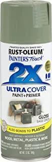 Rust-Oleum 249094 Painter's Touch 2X Ultra Cover Spray Paint, 12 oz, Gloss Sage Green