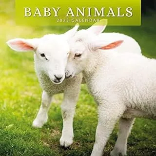 2023 Baby Animals Monthly Wall Calendar by Red Robin Calendars 12