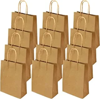ECVV Gift Bags 12 Pieces Set Eco-Friendly Paper Bags With Handles Bulk Paper Bags Shopping Bags Kraft Bags Retail Bags Party Bags (Brown, 21 * 15 * 8 Cm)